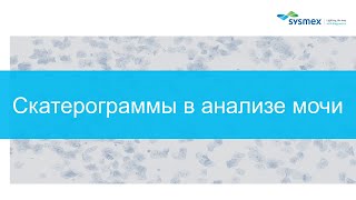 Диагностическая значимость скаттерограмм в анализе частиц на мочевой станции UN Sysmex