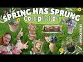 7!!🌷SPRING🌷 home decor DIYS on a BUDGET | EASY dollar tree |trash to treasure | dupes | COMPILATION 