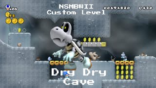 NSMBWII Custom Level: Dry Dry Cavern