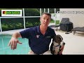 How to Train Your Dog to Exit a Pool Safely- Bark Busters Home Dog Training