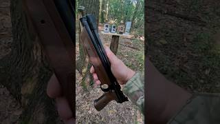 Crosman 1377, стрельба по банкам