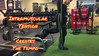 TotalBody Band Training/RFESS