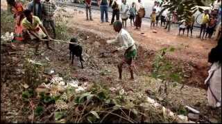 Puja  - Orissa Indie