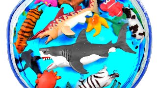 Sea Animals, Farm Animals and Zoo Animals For Kids - Learn Animal Names In The Pool
