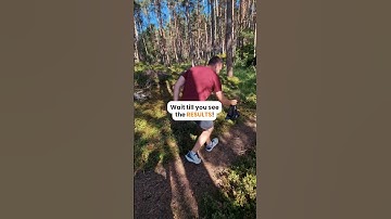 The FREE camera gimbal solution