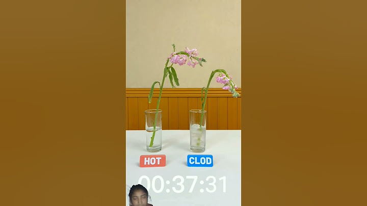 🌸💧 Withness the magic ✨ - hot water breathes life back into flowers!#thatlittlepuff