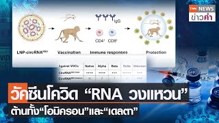 วัคซีนโควิด “RNA วงแหวน” ต้านทั้ง“โอมิครอน”และ“เดลตา” | TNN ข่าวค่ำ