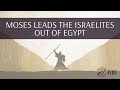 Moses Leads The Israelites Out of Egypt | CCN Kids