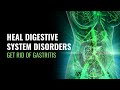 Heal Digestive System Disorders | Get Rid of Gastritis | Detox Out Your Digestive Tract | 528 Hz