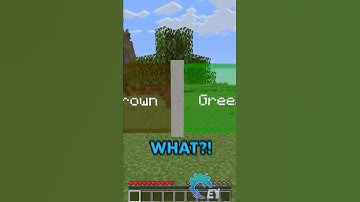 Minecraft, But I Can Only Pick One Color!