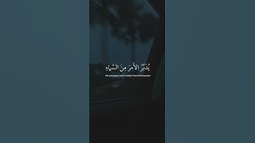 سورة السجدة - عبدالرحمن مسعد ❤️