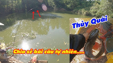 Câu Cá Tự Nhiên || Săn Được Thủy Quái Thác Giang Điền || 2000 Vlog #Fishing