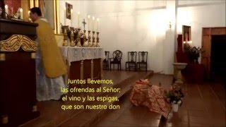 Video thumbnail of "JUNTOS LLEVEMOS LAS OFRENDAS. Canto de Ofertorio"