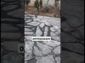 اجرای سنگ لاشه کفه چکشی منظم در حال بندکشی اجرای سنگ لاشه کفه چکشی منظم در حال بندکشی