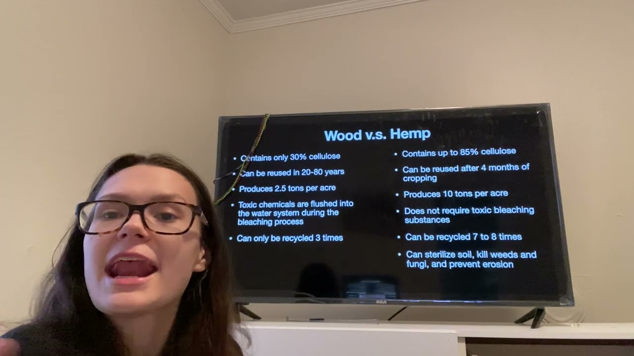 Hemp should replace wood during the paper production process