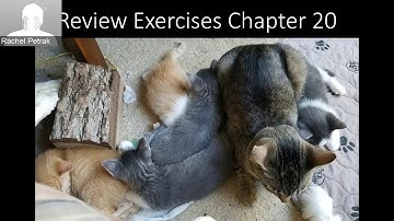 Stats Lecture Chapter 20 Chance Error in Sampling Exercises