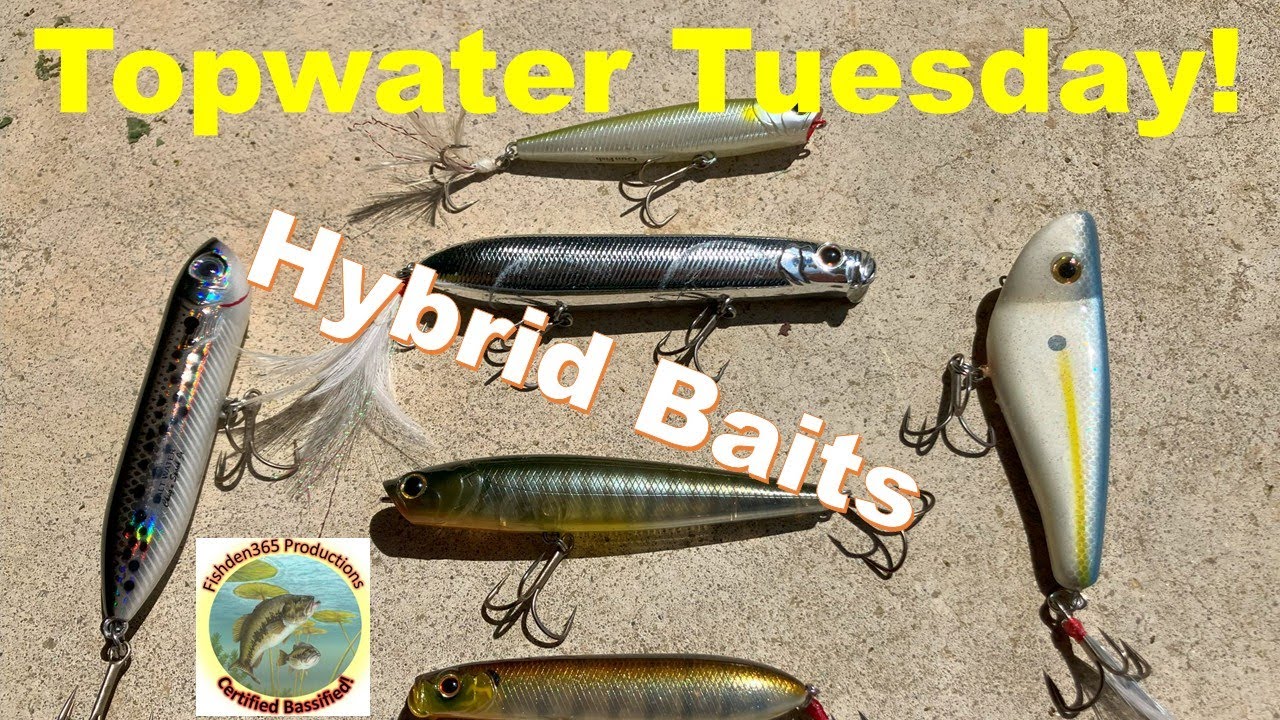 Must Have Baits to Catch BASS On Top!