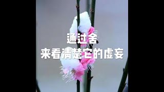 201409 通过舍来看清楚它的虚妄30952