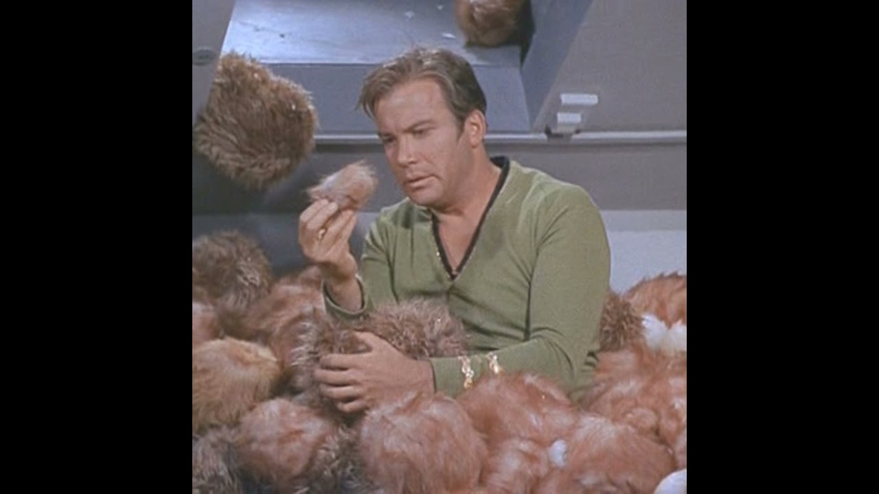 TOS 2x15: The Trouble with Tribbles