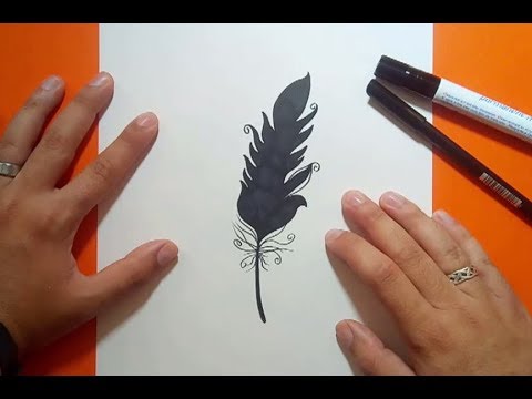  Como dibujar una pluma paso a paso