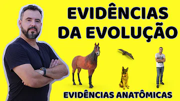 O que são evidências Embriológicas?