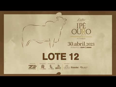 LOTE 12 GIBE 1677