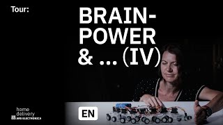 Tour: Brainpower \& … IV