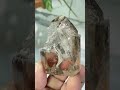 Ponta de Quartzo Fumê Transparente Natural - Proteção • Transmutação