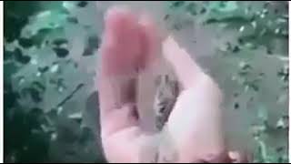 Quando Existe Amor, Não Há Necessidade De Prender Ninguém