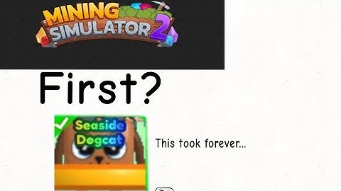 Am I the first person to get the new seaside dogcat pet in Mining Simulator 2?