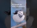 Https Youtube Com Playlist List OLAK5uy Kfbuw6TKCb1OkOCRLaoUjIPjNfeEBrty4 Si IFzsu BHo6SKc1H8 Https Youtube Com Playlist List OLAK5uy Kfbuw6TKCb1OkOCRLaoUjIPjNfeEBrty4 Si IFzsu BHo6SKc1H8