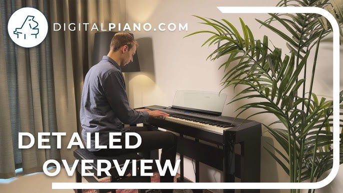 Yamaha P-145 - Detailed Overview