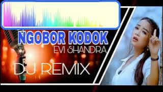DJ NGOBOR KODOK _Evi shandra