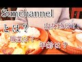 私とはこういう人間です。出身地・職業・年齢…質問16個に全て答えました♪【自己紹介動画】