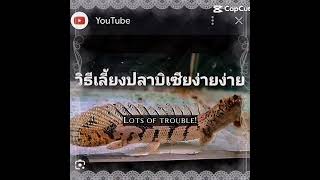 All Of The Fish In The Video Im Confirming They Coming In The Next Episode Of My Channel