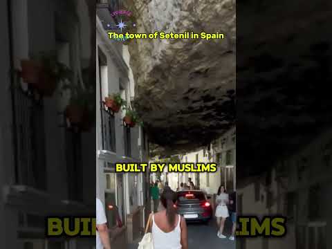 Living Under Rock: