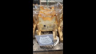 You can buy CAT BREAD in Japan!! 🤯🍞🥐