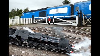 Two Charters  at Holywood and a Very Quiet Carlisle  25 04 24