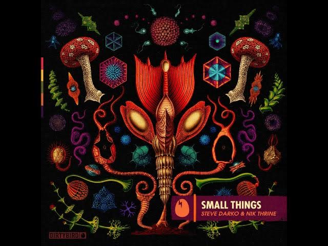 Steve Darko & Nik Thrine - Small Things (Original Mix) [DIRTYBIRD]