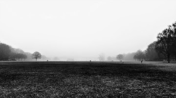 pulsn 18-8-c (Roland SH01a with Elektron Digitone)