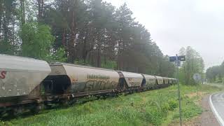 Zbożówki W Podlesinie