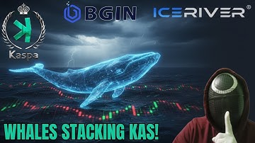Why Kaspa Whales Are Accumulating KAS In This "Fake Bear Market"