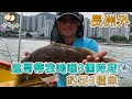 #217 進哥帶我哋喺3個時段，釣足3種魚 | 『香港釣魚 : 艇釣』長洲外 {粵語旁白+中英文字幕}