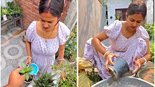 Morning Garden Cleaning Caring Routine House Cleaning Vlog Indian Mom Saree Indian Vlog 