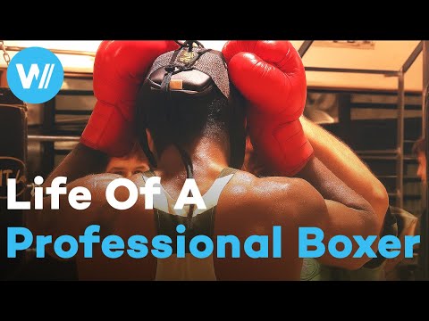 An intimate peak into the life of a professional boxer: training, weigh-ins and fights documentary thumbnail