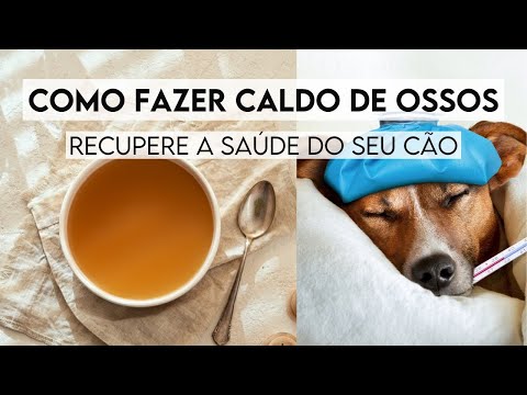 Vídeo: Como o Caldo de Osso Ajuda a Saúde Digestiva dos Cães