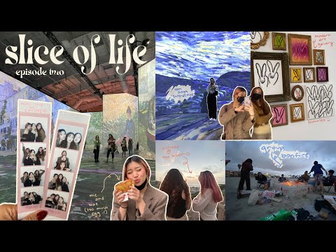 slice of life || van gogh exhibit, group bonfire, day trip in la + irvine :)