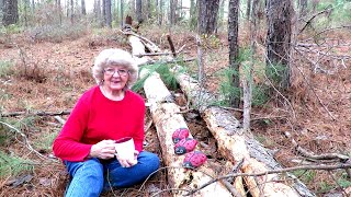 I Had A Storm Trees Down I Made Ladybugs with Mortar Mix In Ga. by helen wyatt 29,952 views 2 years ago 1 hour, 12 minutes