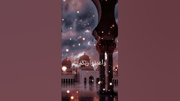 سورة الحج ♥️☺️🤲🏻 #viral #راحة_نفسية #امة_محمد #دعم #اسلام #قران #quran #fyp #explor #foryou
