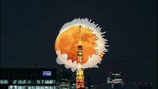 The WLT & Oana - You Won't Forget Me